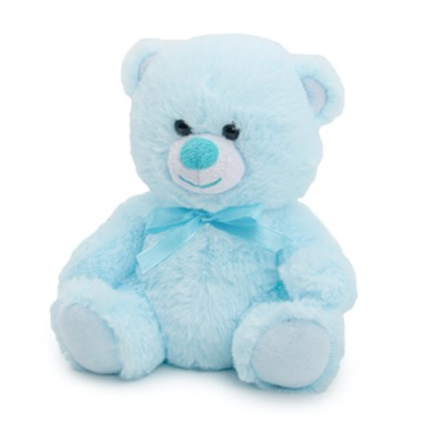 Baby Blue Teddy